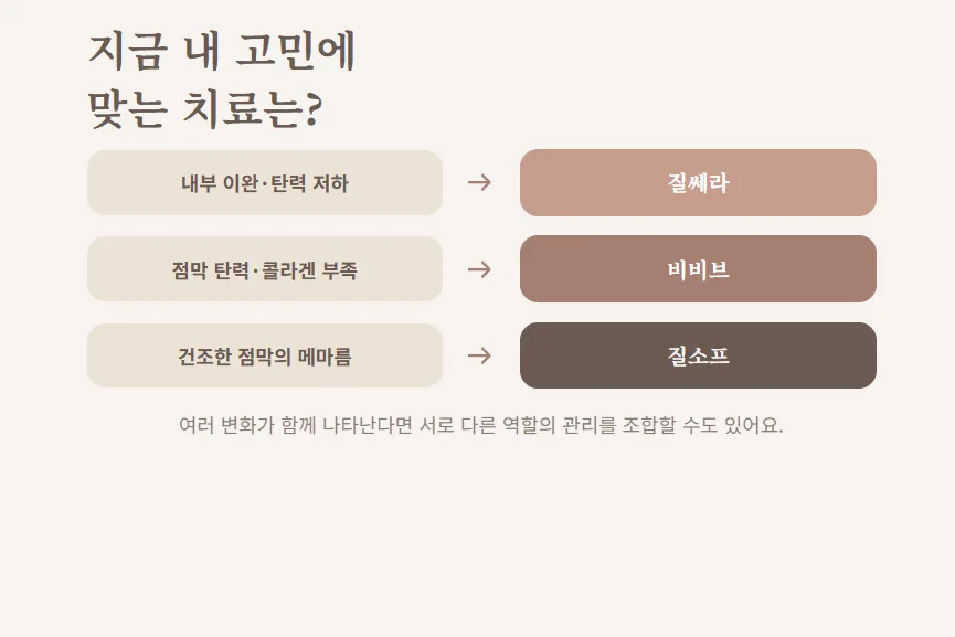 갱년기 질건조증